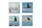 Sea Glass Bird Art – Handmade Coastal Decor 2.5" x 2.5" Canvas